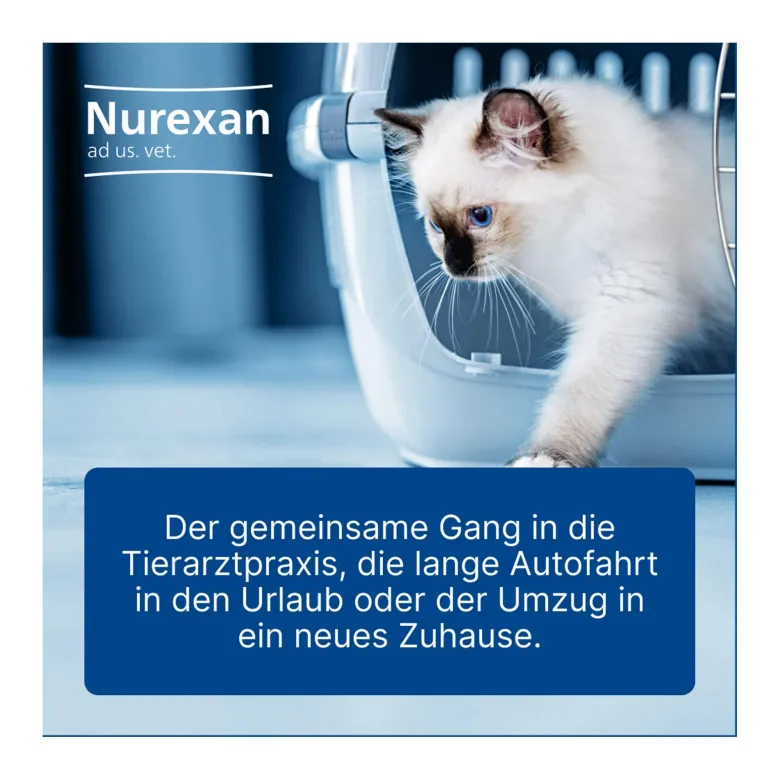 Nurexan ad us. vet. Tabletten, 100 St