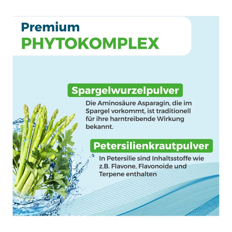 Nyrax Aqua Balance Phytokomplex während Entwässerungs-Kuren, 100 St