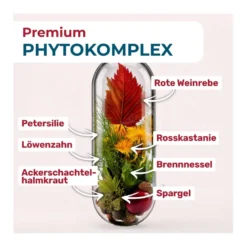 Nyrax Veno Balance Phytokomplex für das Bindegewebe Kapseln, 120 St