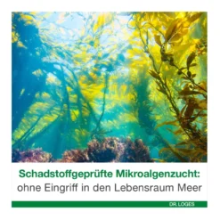 Omega 3-Loges pflanzlich Kapseln, 120 St