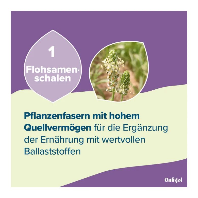 Onligol Fiber Pulver, 20X4.7 g