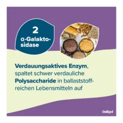 Onligol Fiber Pulver, 20X4.7 g
