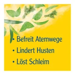 Pinimenthol Erkältungssalbe, 100 g