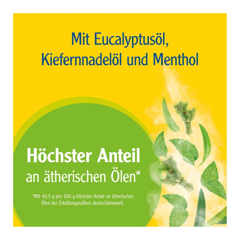 Pinimenthol Erkältungssalbe, 20 g