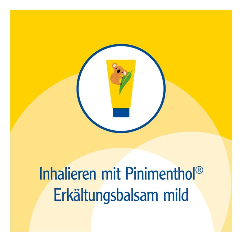 Pinimenthol Inhalator, 1 St