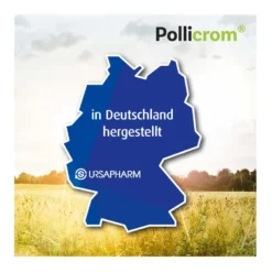 Pollicrom 20 mg/ml Nasenspray, 15 ml