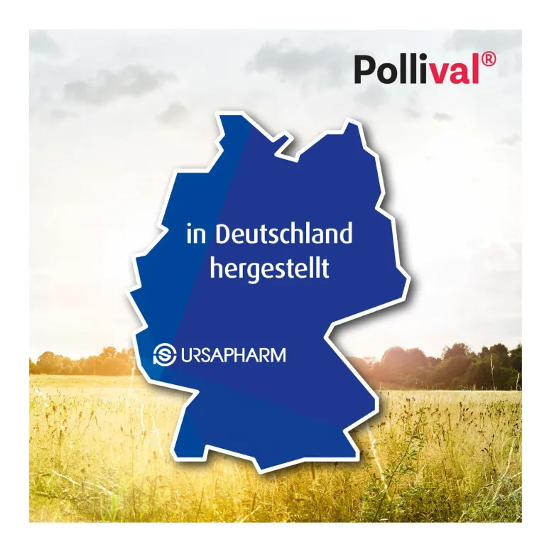 Pollival 1 mg/ml Nasenspray, 10 ml