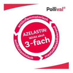 Pollival 1 mg/ml Nasenspray, 10 ml