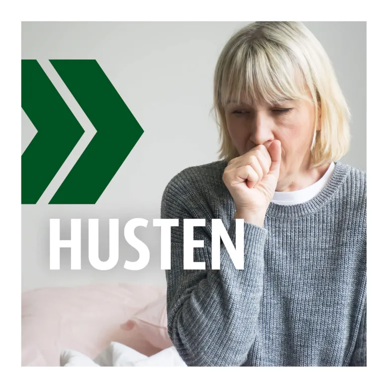 Prospan Husten Brausetabletten, 20 St