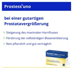 Prostess uno, 100 St