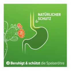 Refluthin bei Sodbrennen Kautabletten Minzgeschmack, 48 St
