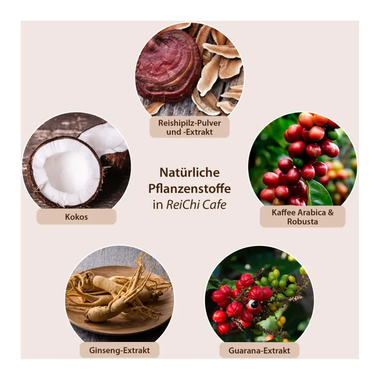 ReiChi Cafe Reishi-Pilz Espresso-Kaffee Kokos vegan, 400 g