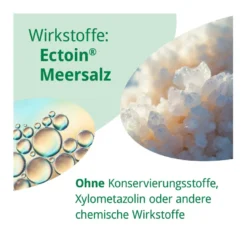 Rhinoguttae NEO Nasenspray bei Schnupfen, 20 ml