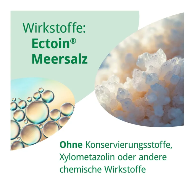 Rhinoguttae NEO Nasenspray bei Schnupfen, 20 ml