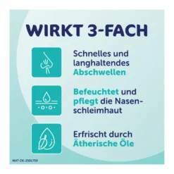 Rhinospray plus bei Schnupfen mit Feindosierer, 10 ml
