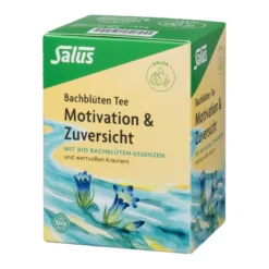 Salus Bachblüten Tee Motivation & Zuversicht, 15 St