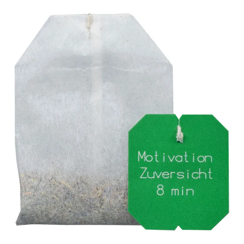 Salus Bachblüten Tee Motivation & Zuversicht, 15 St