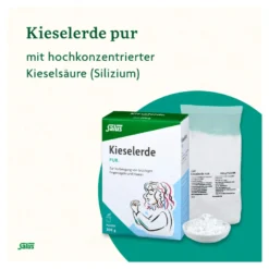 Salus Kieselerde pur Pulver, 200 g