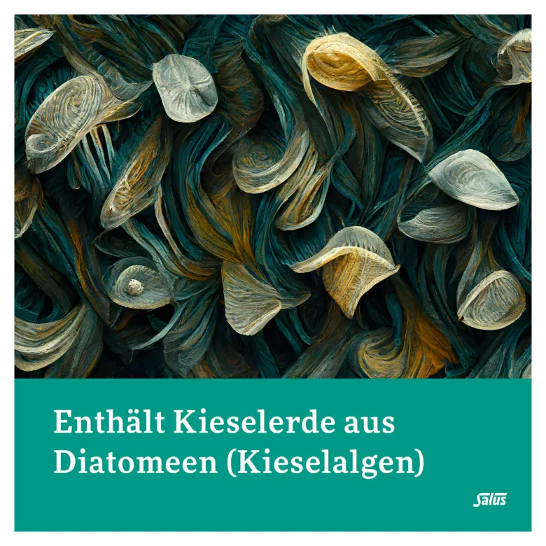 Salus Kieselerde pur Pulver, 200 g