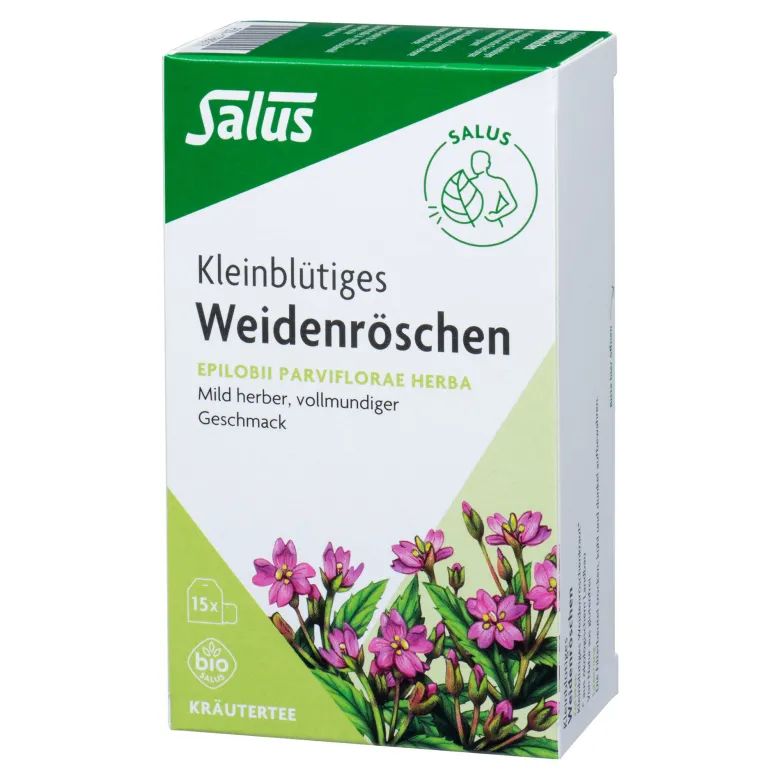 Salus Weidenröschen Tee Bio, 15 St