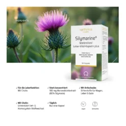 Sanhelios Silymarine Mariendistel Leber-Vital-Kapseln plus, 60 St