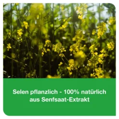 Selen-Loges 200 µg pflanzlich Filmtabletten, 120 St
