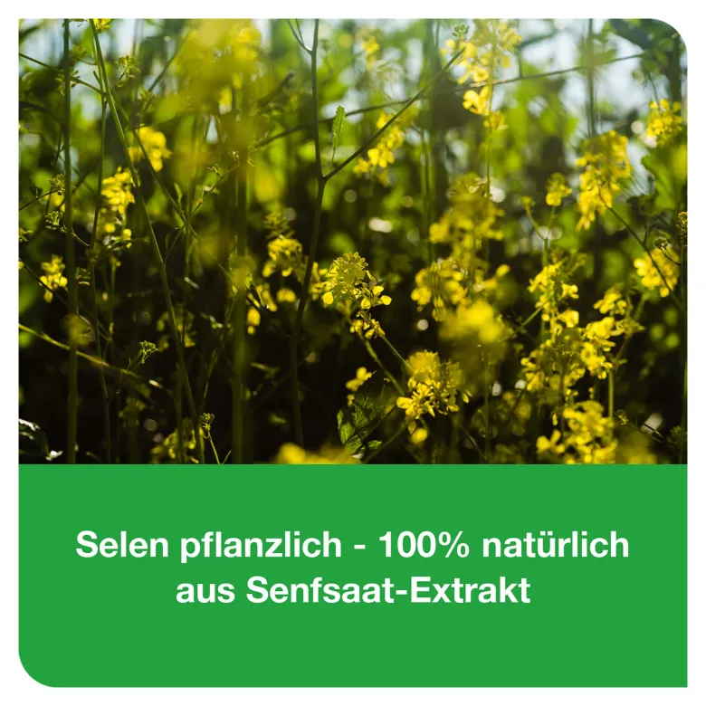 Selen-Loges 200 µg pflanzlich Filmtabletten, 120 St