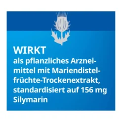 Silymarin Stada 156 mg Hartkapseln, 100 St