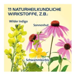 Sinusitis Hevert Tabletten, 40 St