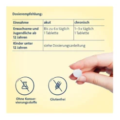 Sinusitis Hevert Tabletten, 40 St