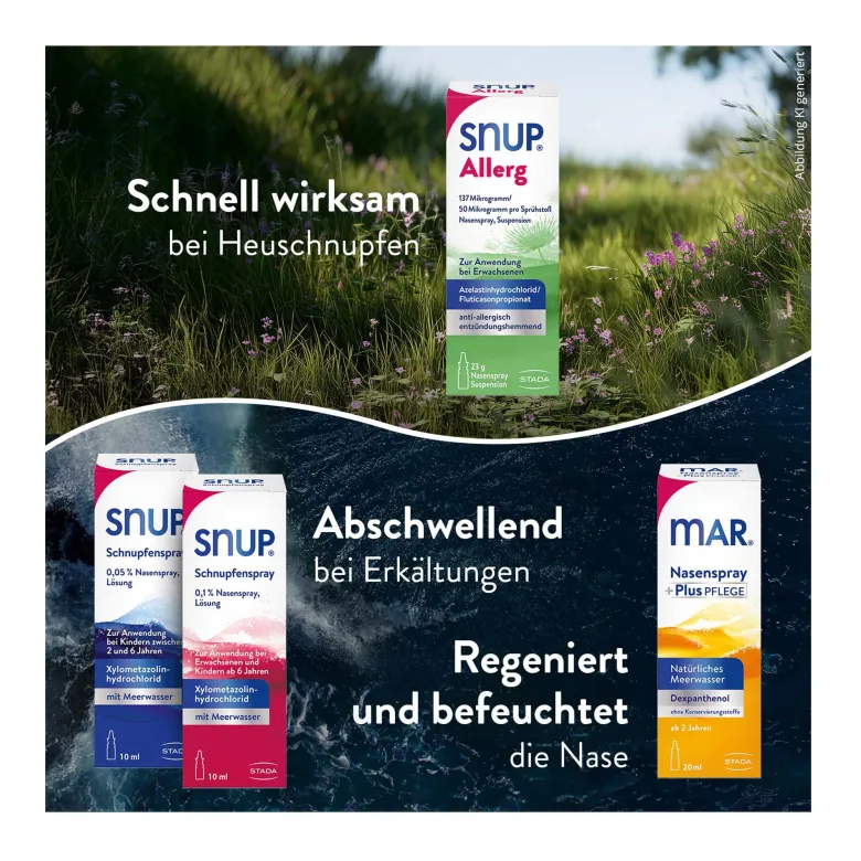 Snup Allerg Nasenspray bei Heuschnupfen und Pollenallergie, 23 g