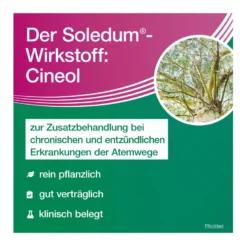 Soledum addicur 200 mg, 100 St