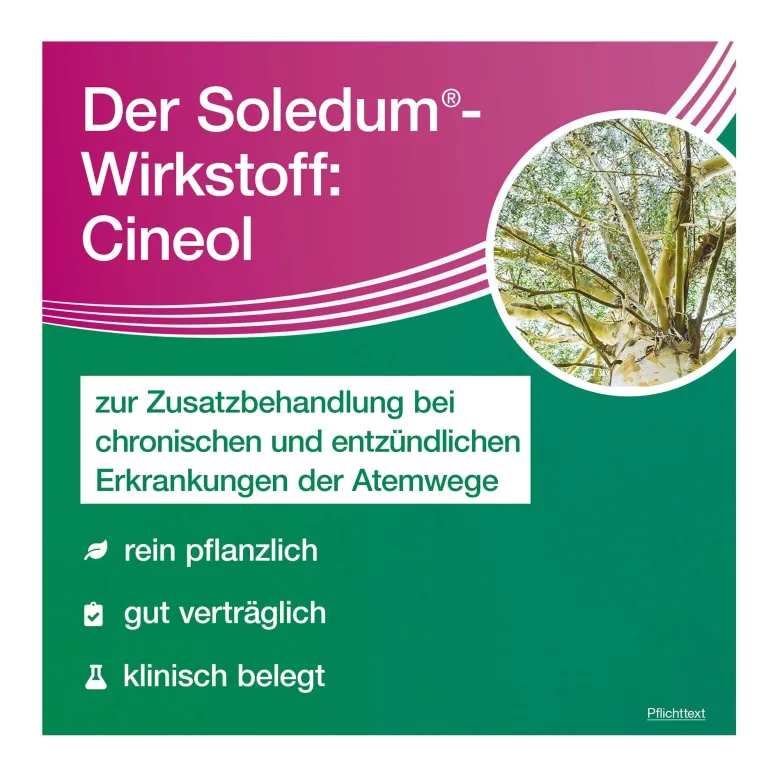 Soledum addicur 200 mg, 100 St