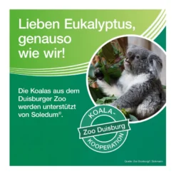 Soledum Balsam, 20 ml