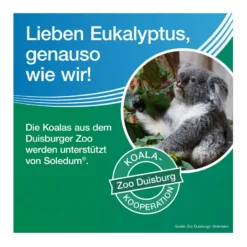 Soledum Kapseln forte 200 mg, 100 St