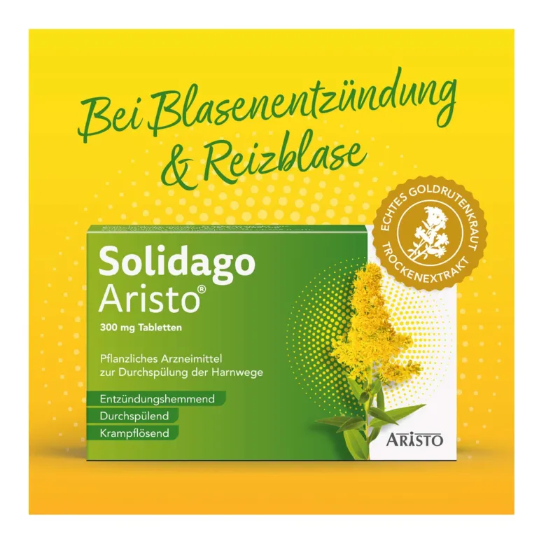 Solidago Aristo 300 mg Tabletten, 20 St