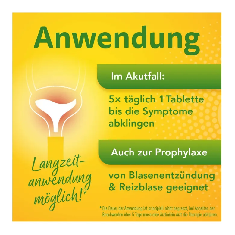 Solidago Aristo 300 mg Tabletten, 20 St