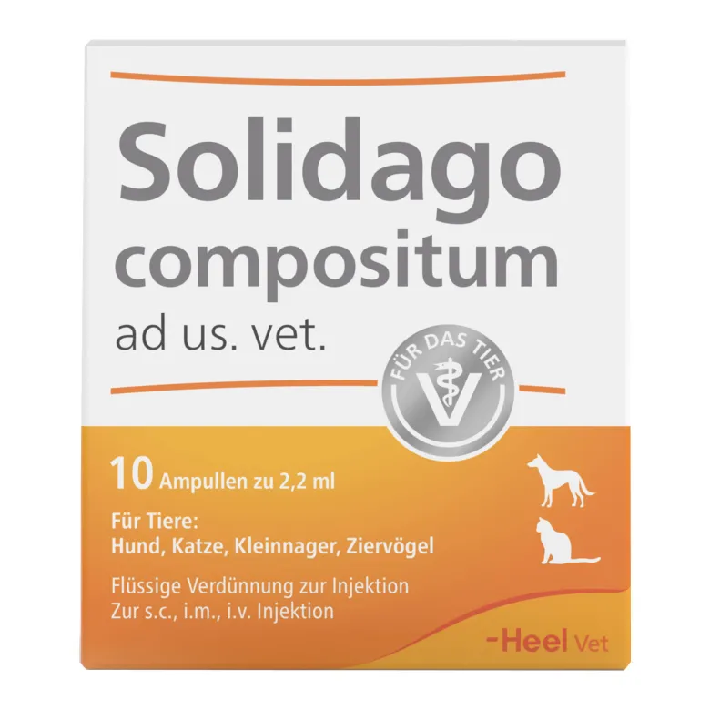 Solidago compositum ad us. vet., 10 St