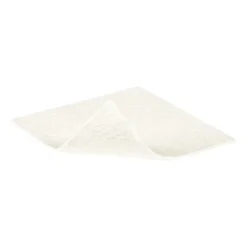 Sorbalgon Classic 10 x 10 cm Kompressen, 10 St