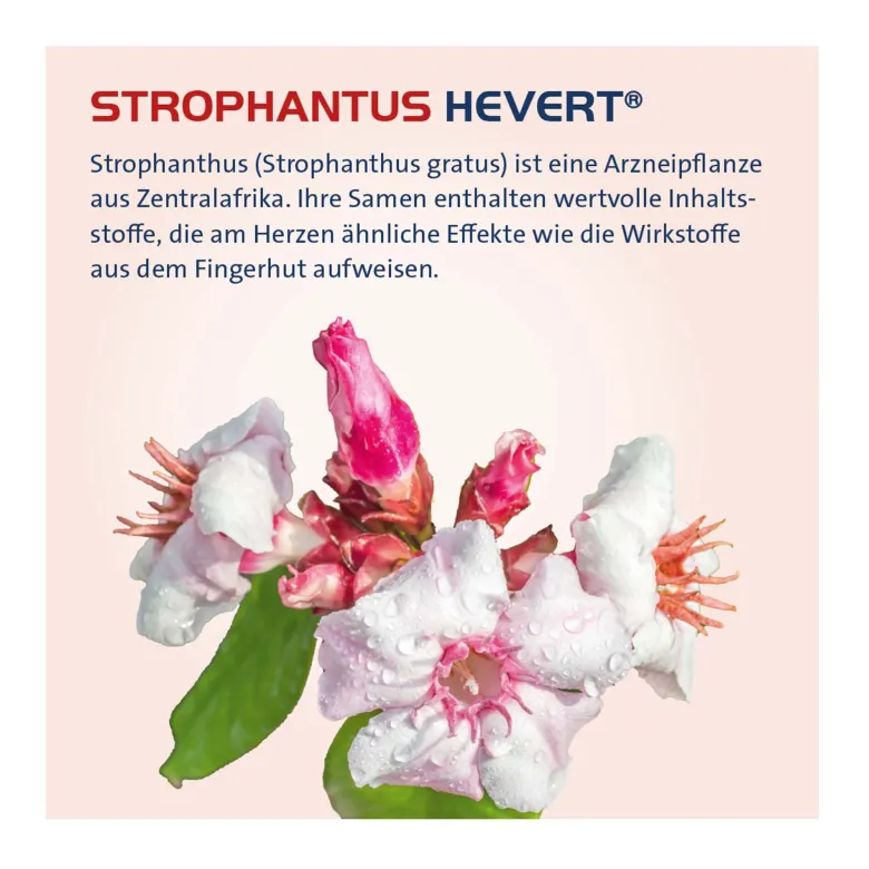 Strophanthus Hevert Tropfen, 100 ml