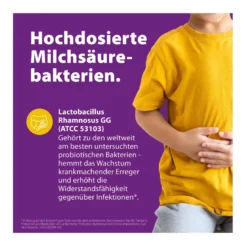 SymbioLact Direkt Junior Pulver, 12X1 g