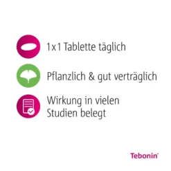Tebonin konzent 240 mg Filmtabletten, 120 St