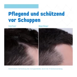Terzolin Expert Shampoo bei trockener Kopfhaut, 200 ml