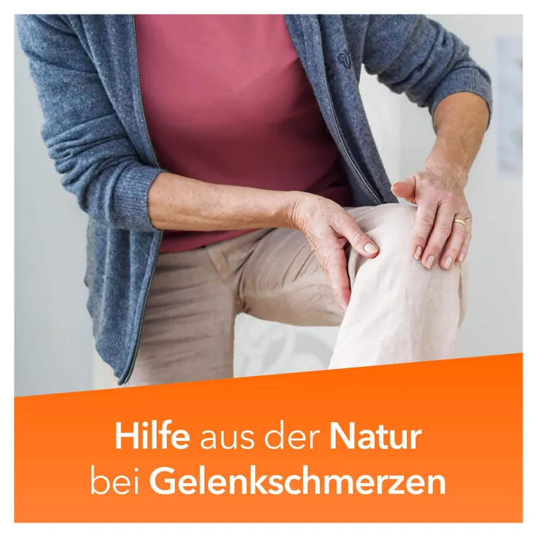 Teufelskralle ratiopharm - bei Gelenkschmerzen, 200 St