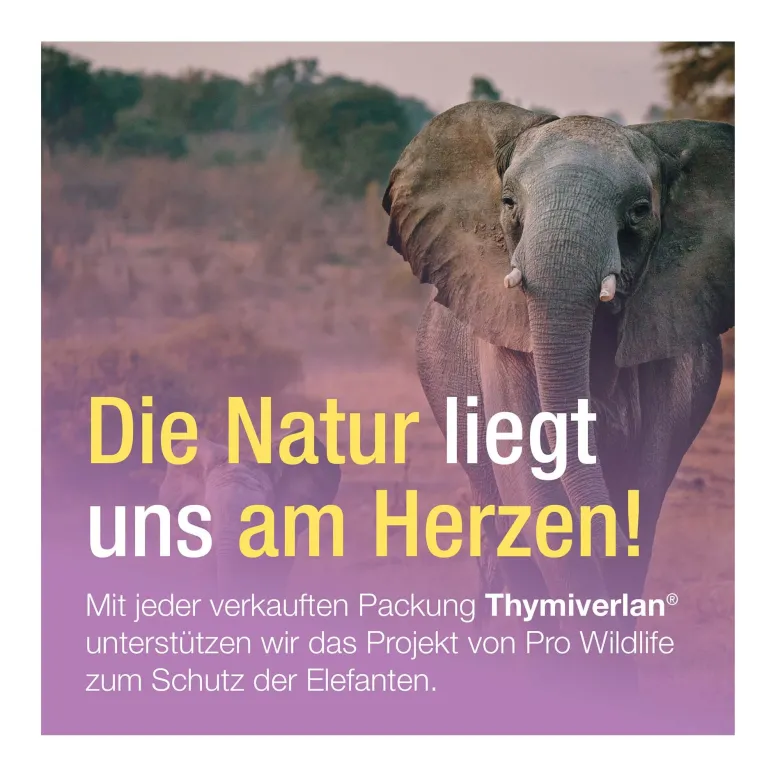 Thymiverlan Flüssigkeit zum Einnehmen, 100 ml