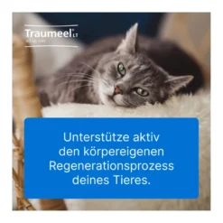 Traumeel LT ad us. vet. Tabletten, 100 St