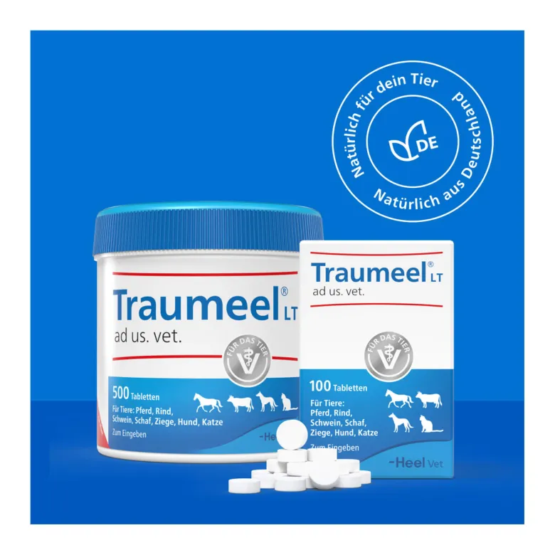 Traumeel LT ad us. vet. Tabletten, 100 St