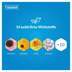 Traumeel S Tabletten, 50 St