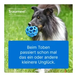 Traumeel T ad us. vet. Tabletten, 100 St