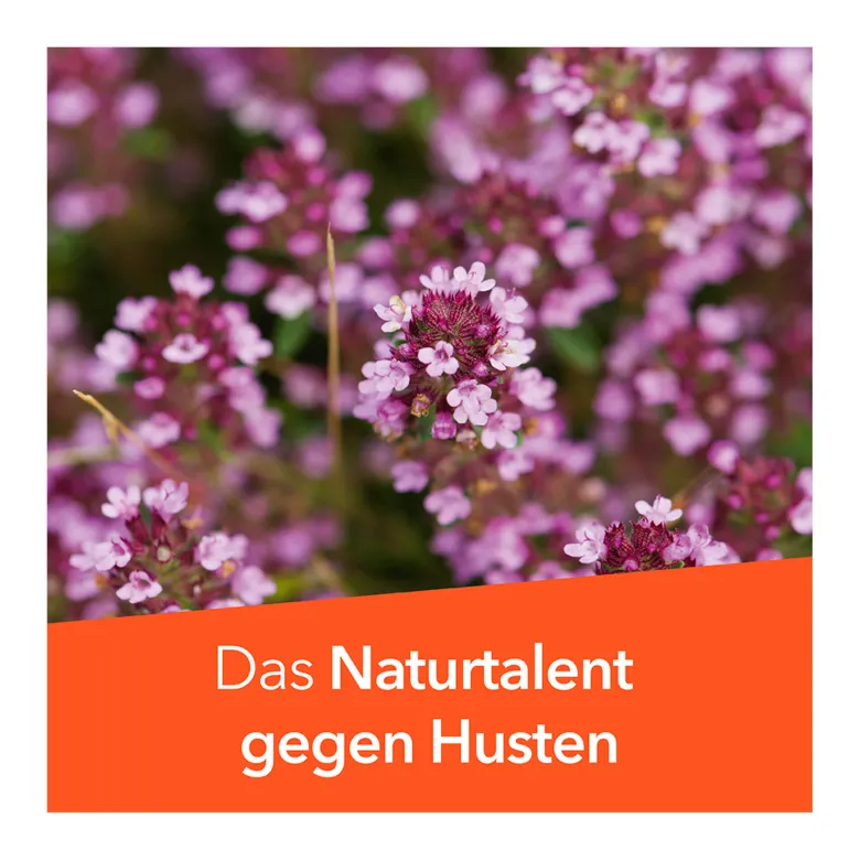 Tussamag Hustensaft N zuckerfrei, 175 g